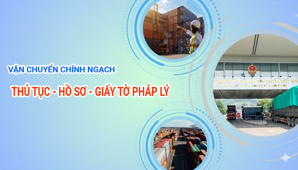 CÁCH XÁC ĐỊNH MÃ HS CODE KHI NHẬP HÀNG TRUNG QUỐC