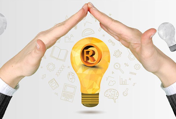 Nhập khẩu hàng hóa có thương hiệu: Thủ tục hải quan & quy định sở hữu trí tuệ mới nhất 2026