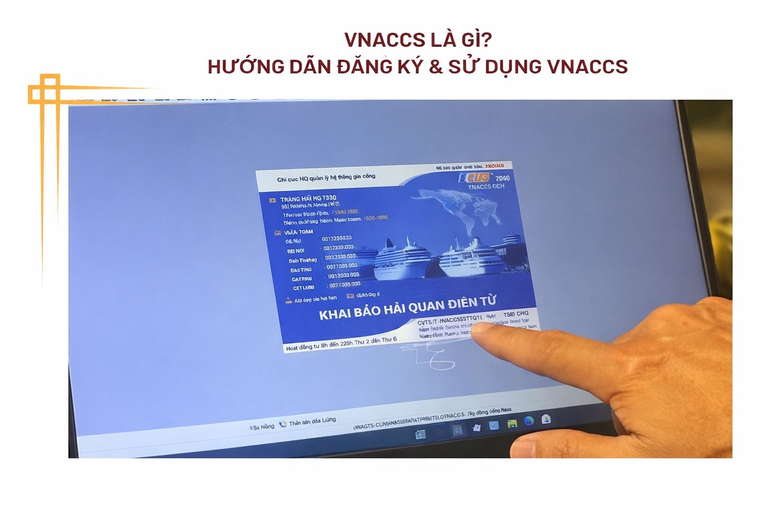 VNACCS Là Gì? Hướng Dẫn Chi Tiết Từ A–Z Cho Doanh Nghiệp Xuất Nhập Khẩu